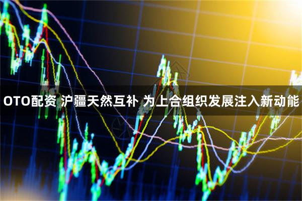 OTO配资 沪疆天然互补 为上合组织发展注入新动能
