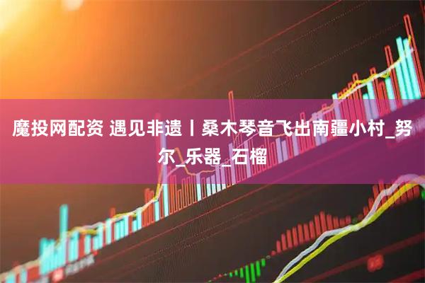 魔投网配资 遇见非遗丨桑木琴音飞出南疆小村_努尔_乐器_石榴