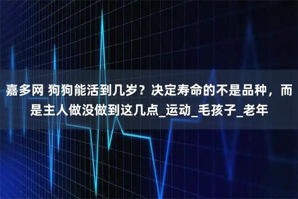 嘉多网 狗狗能活到几岁？决定寿命的不是品种，而是主人做没做到这几点_运动_毛孩子_老年