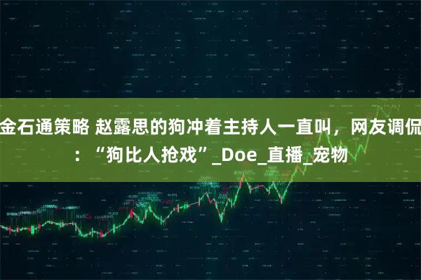 金石通策略 赵露思的狗冲着主持人一直叫，网友调侃：“狗比人抢戏”_Doe_直播_宠物